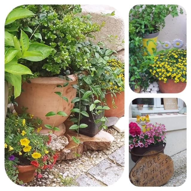 La Maison Des Fleurs Scrignac Exterior foto